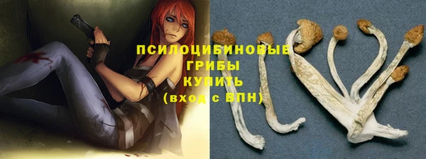 стафф Заволжск