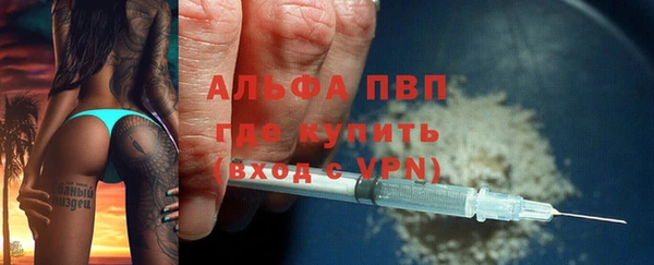 стаф Елабуга