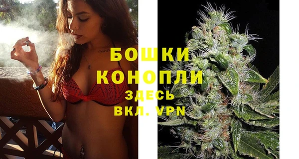 стафф Заволжск
