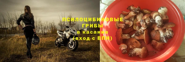 стафф Заволжск