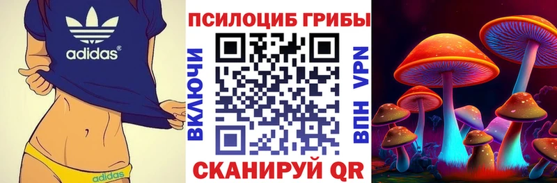 Псилоцибиновые грибы ЛСД Болохово