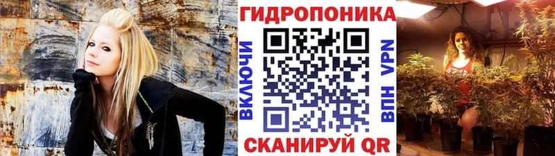 blacksprut ССЫЛКА Болохово Канабис тримм дарнет шоп